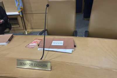 Democratic Senator Steps Down Amid Controversy Following Arrest in Minor-Related Incident