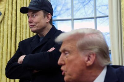 Musk Exposes Incredible Fraud at Social Security in What “Might Be the Biggest Fraud in History”? What’s the Truth?